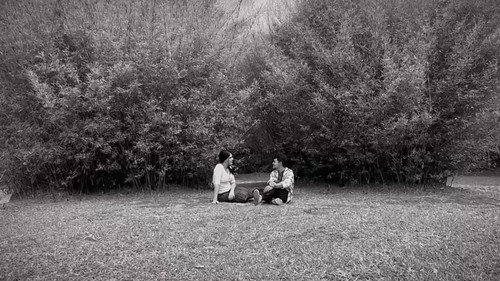 O Silêncio dos Candangos Backdrop Blur