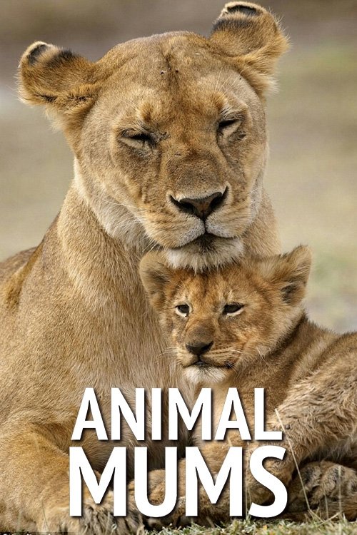 Animal Mums