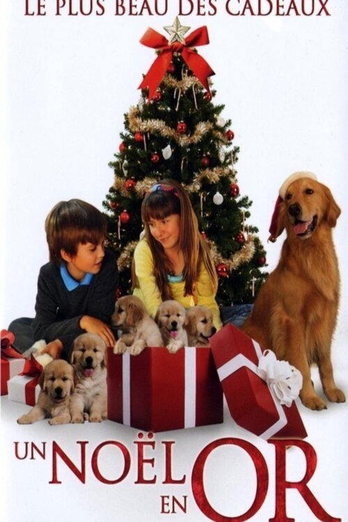 Un Noël en or Poster