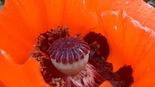 Between the valleys, between the hills. In the footsteps of the future sound of Slovakia.