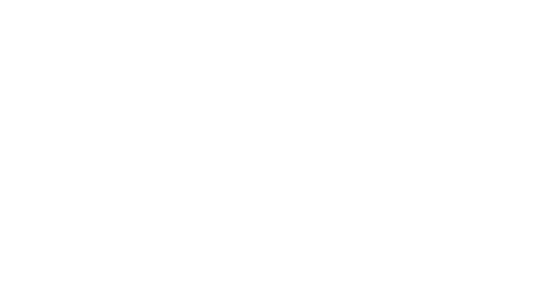 The Wedding Veil Journey