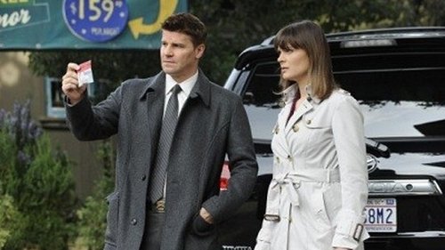 Poster della serie Bones