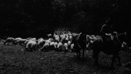 Under the Sky Shelter