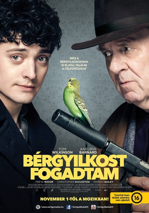 Bérgyilkost fogadtam 2018