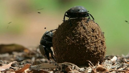 Image de l'épisode 23