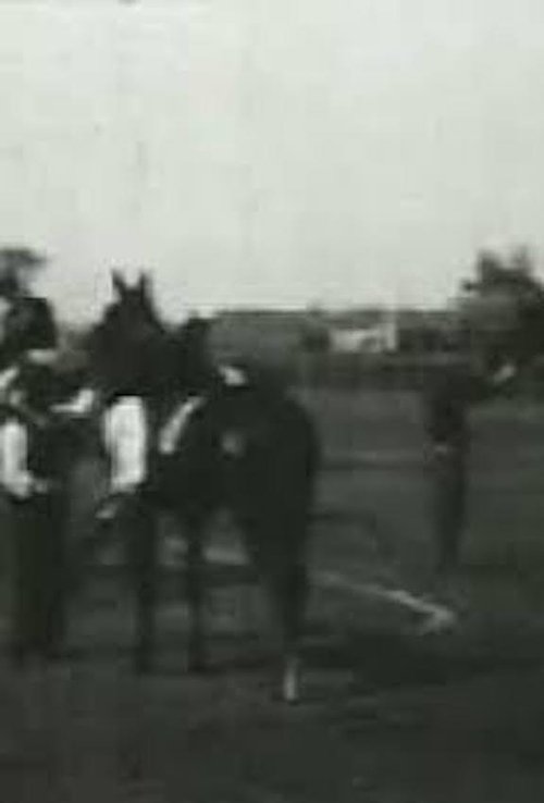 Racing at Sheepshead Bay cover