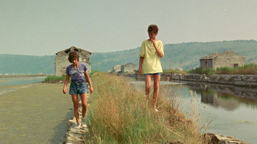 A Summer in a Sea Shell