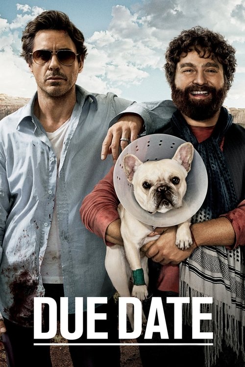 Grootschalige poster van Due Date