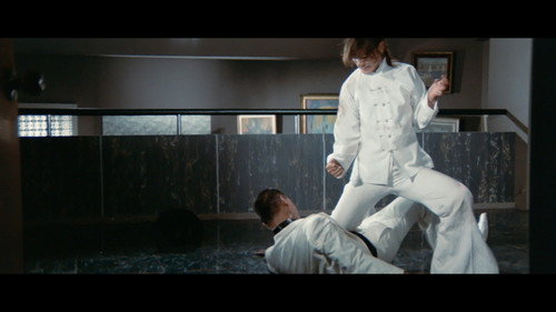 Sister Street Fighter