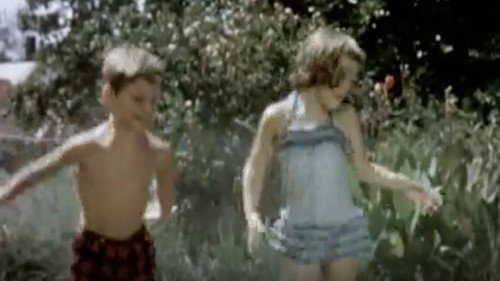 Summer Is An Adventure Backdrop Blur