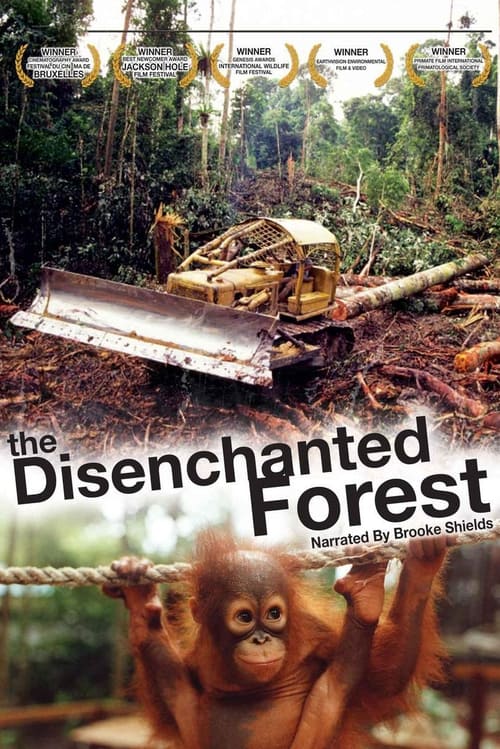 Poster Disenchanted Forest 2002