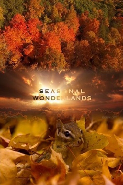 Seasonal Wonderlands