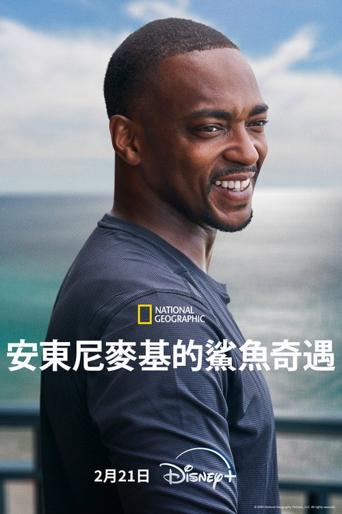 Shark Beach with Anthony Mackie