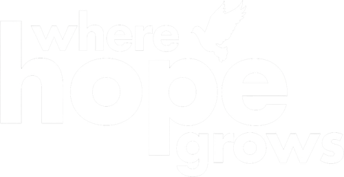 Onde Nasce a Esperança - Logo 5