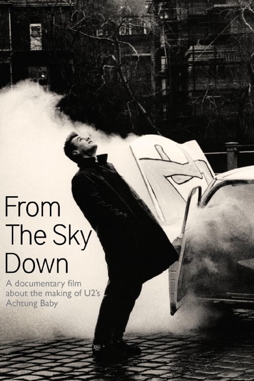 U2: From the Sky Down 2011