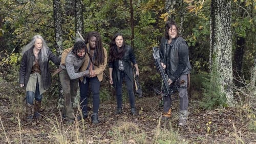 Assistir The Walking Dead S09E15 – 9×15 – Dublado