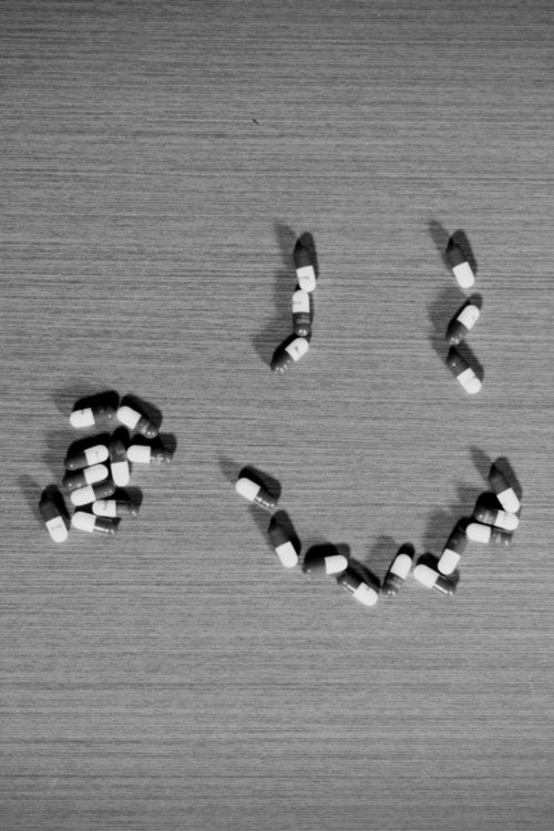 Short-Term Pleasure and Birds