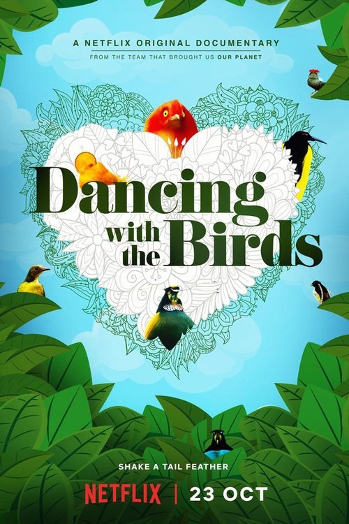 Dancing with the Birds Online Now