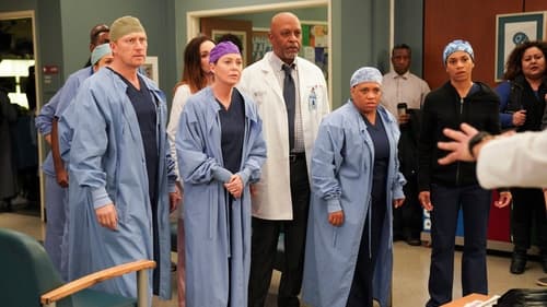 Grey’s Anatomy: 16×18