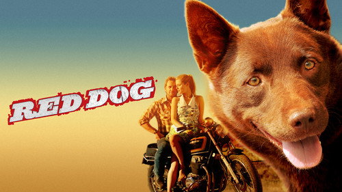 Red Dog