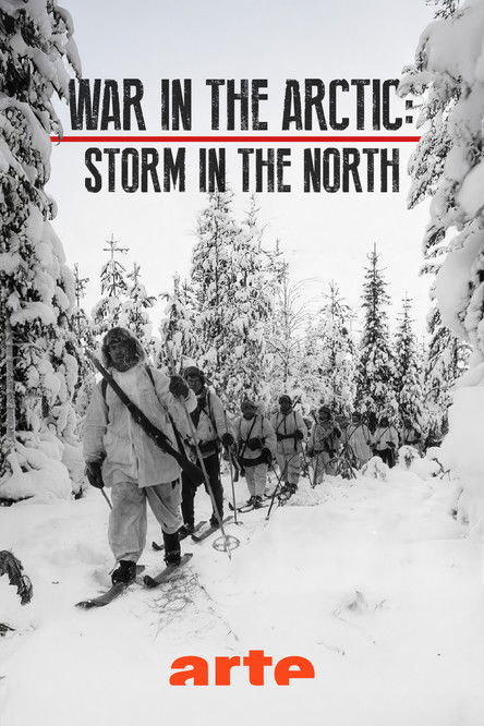 War in the Artic: Storm in the North poster