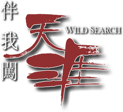 伴我闖天涯