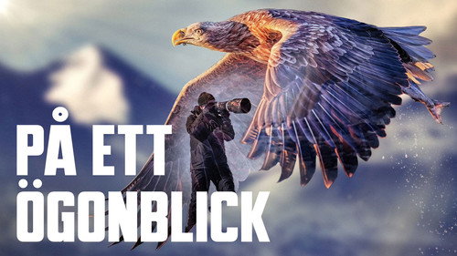 På ett ögonblick Backdrop Blur