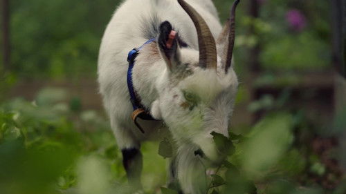 Vinnie Jones in the Country S03E02 backdrop