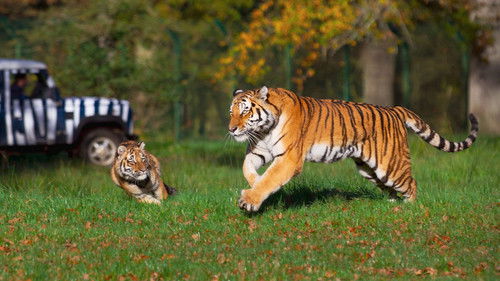 Image de l'épisode 2