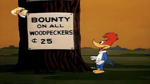 Poster della serie The Woody Woodpecker Show