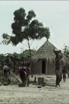 Subsister en savane poster