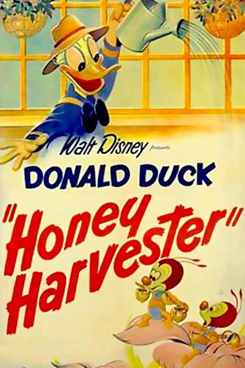Filme Der Honigsammler Streaming