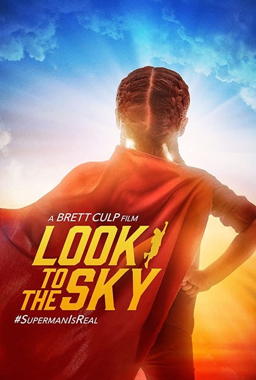 Look to the Sky poster