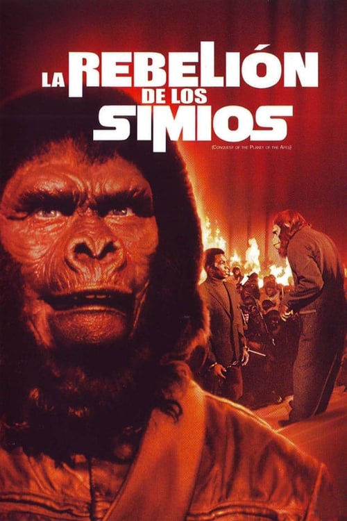 La rebelión de los simios 1972