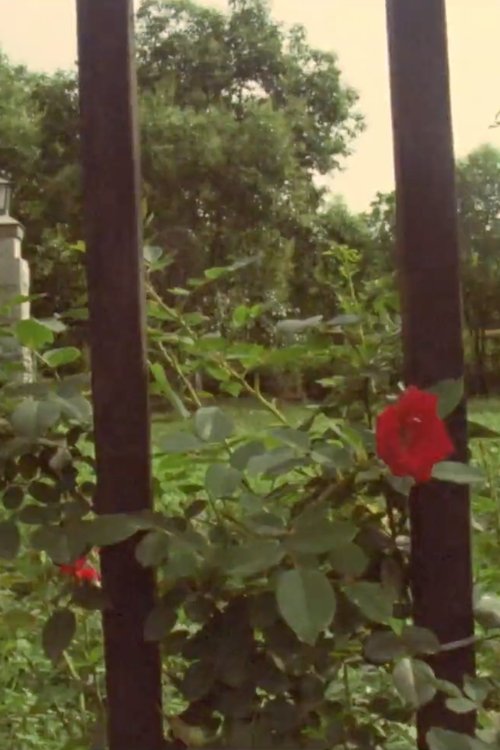 The Rose movie poster player