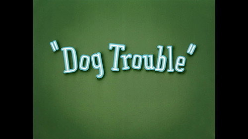 Dog Trouble