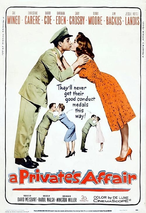 A Private's Affair poster