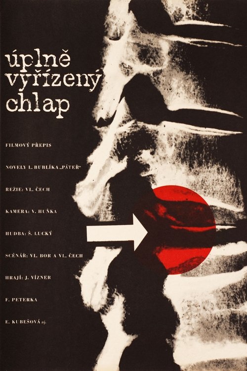 Úplně vyřízený chlap movie poster player