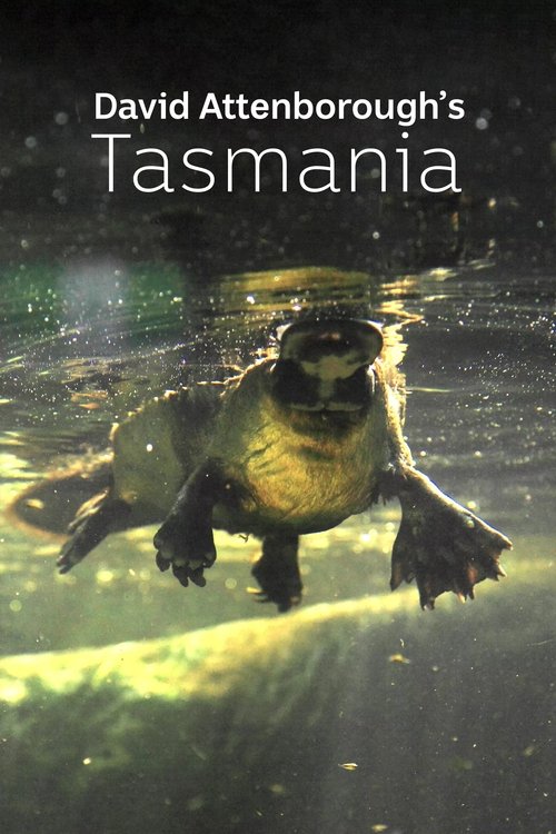 David Attenborough's Tasmania poster