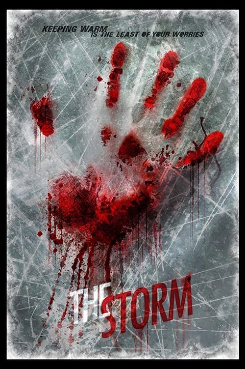 The Storm (2013) poster
