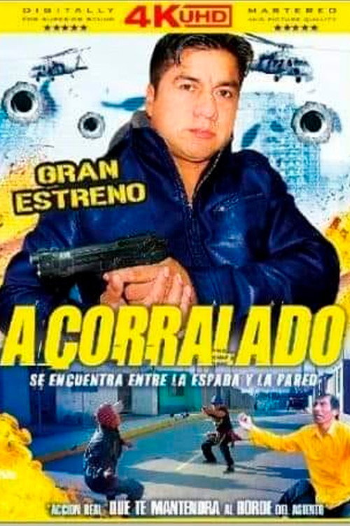 Acorralado