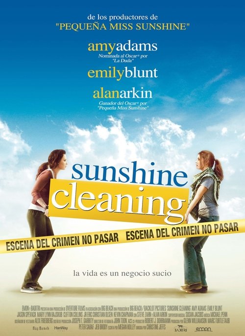 Sunshine Cleaning poster