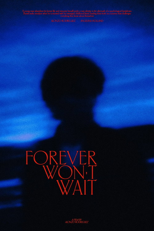 Forever Won't Wait poster