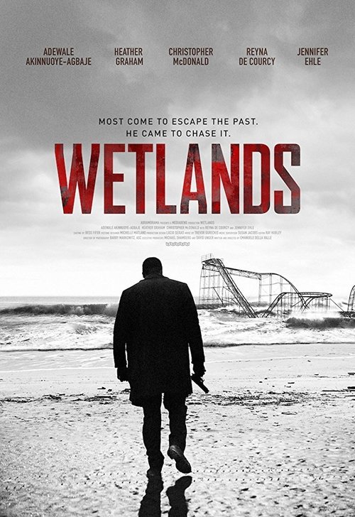 Wetlands poster