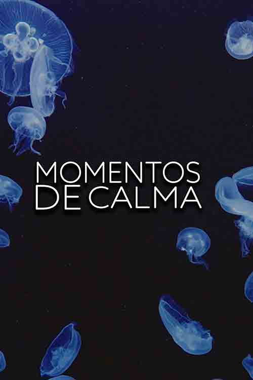 Momentos de calma Poster