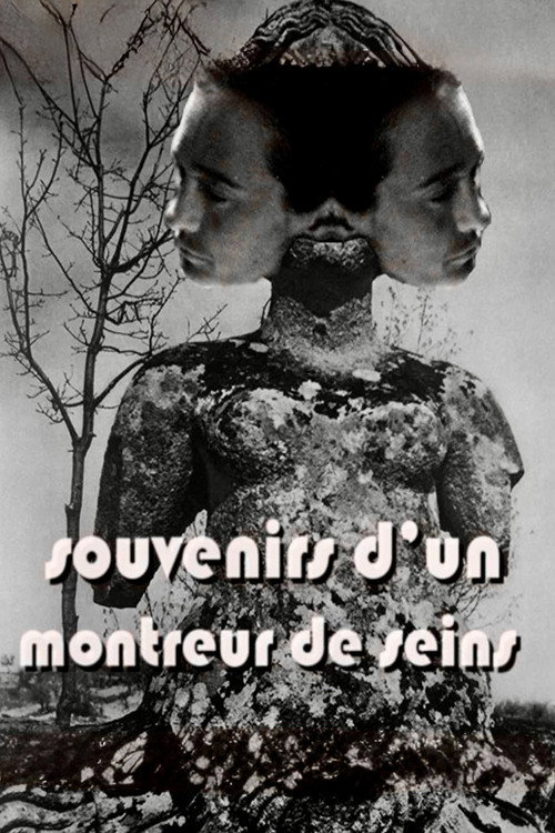 Image du film