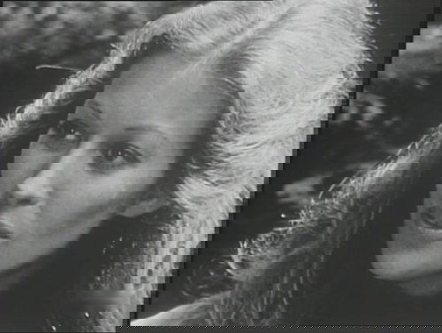 Image de l'épisode 7