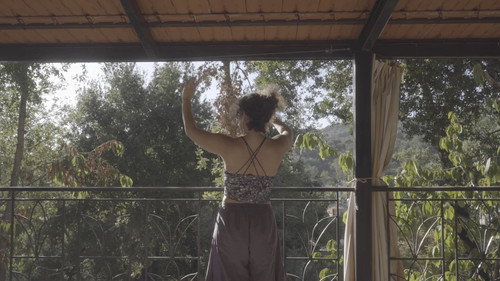 The cats, the sea, and everything in between.