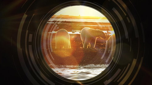 National Geographic Investigates - Battle for Alaska's Oil Backdrop Blur