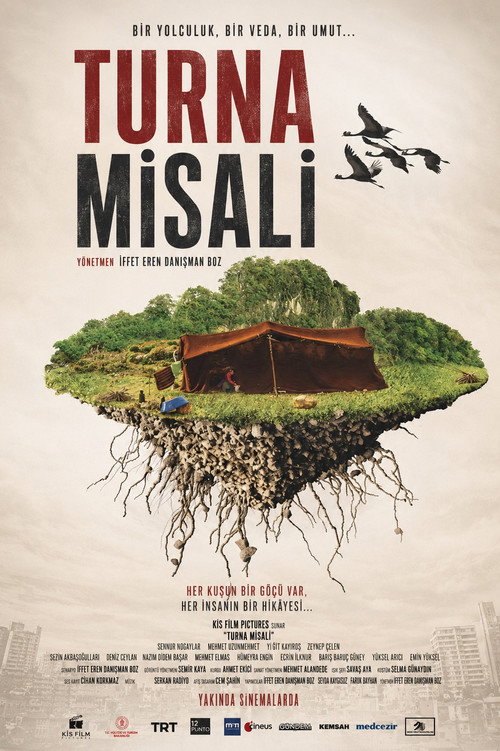 Turna Misali